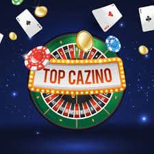 cachorro bet